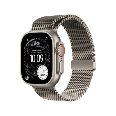 Titanium Milanese Band